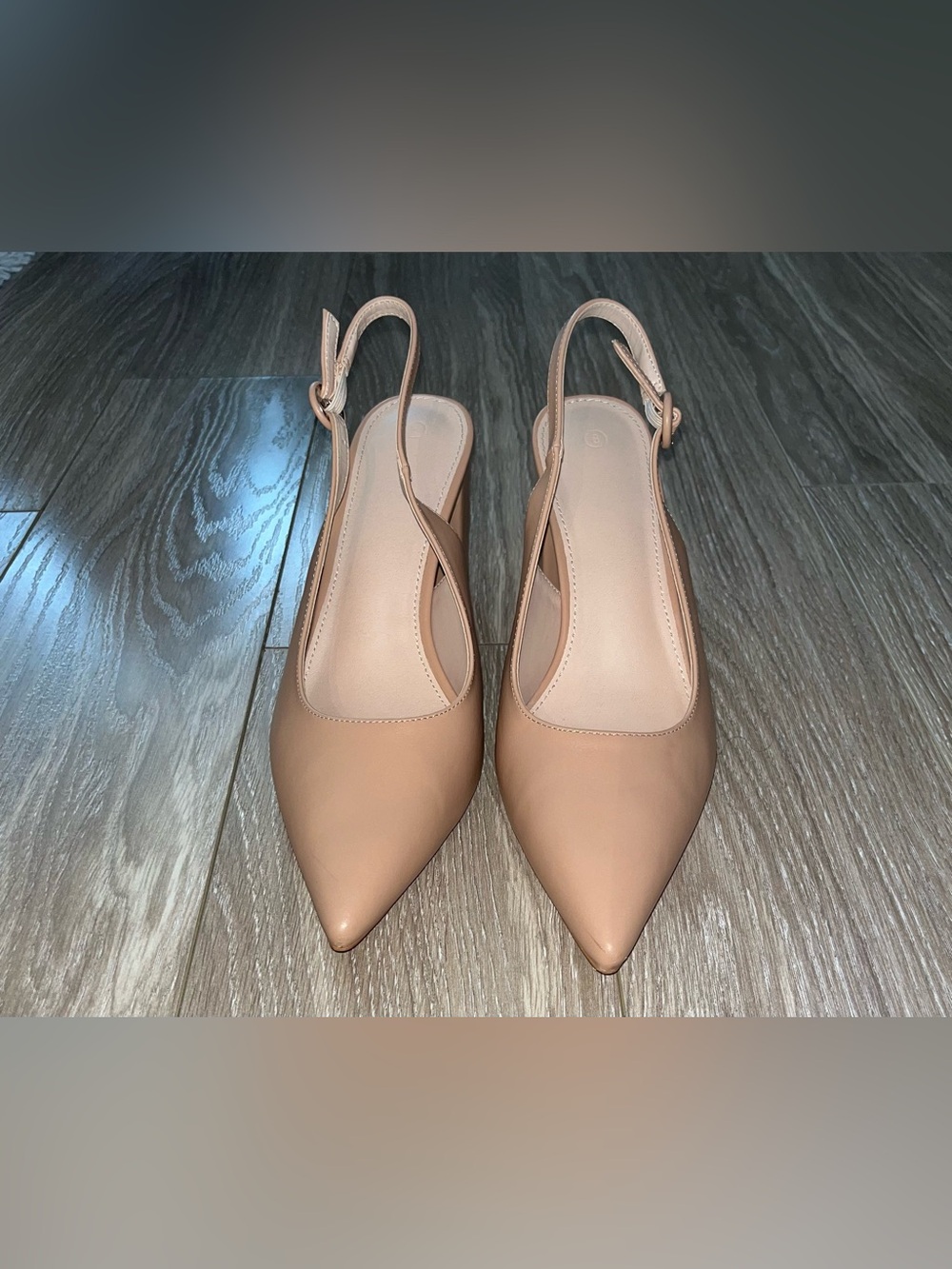 Classic Pointed Slingback Pumps in Nude